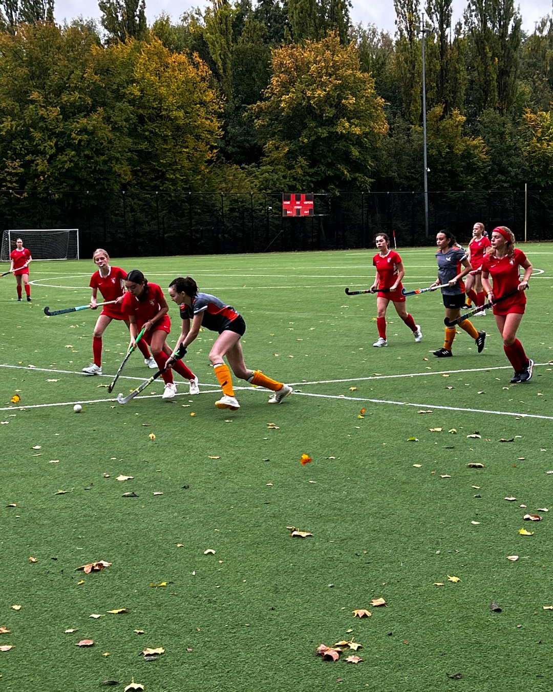 Autumn turf