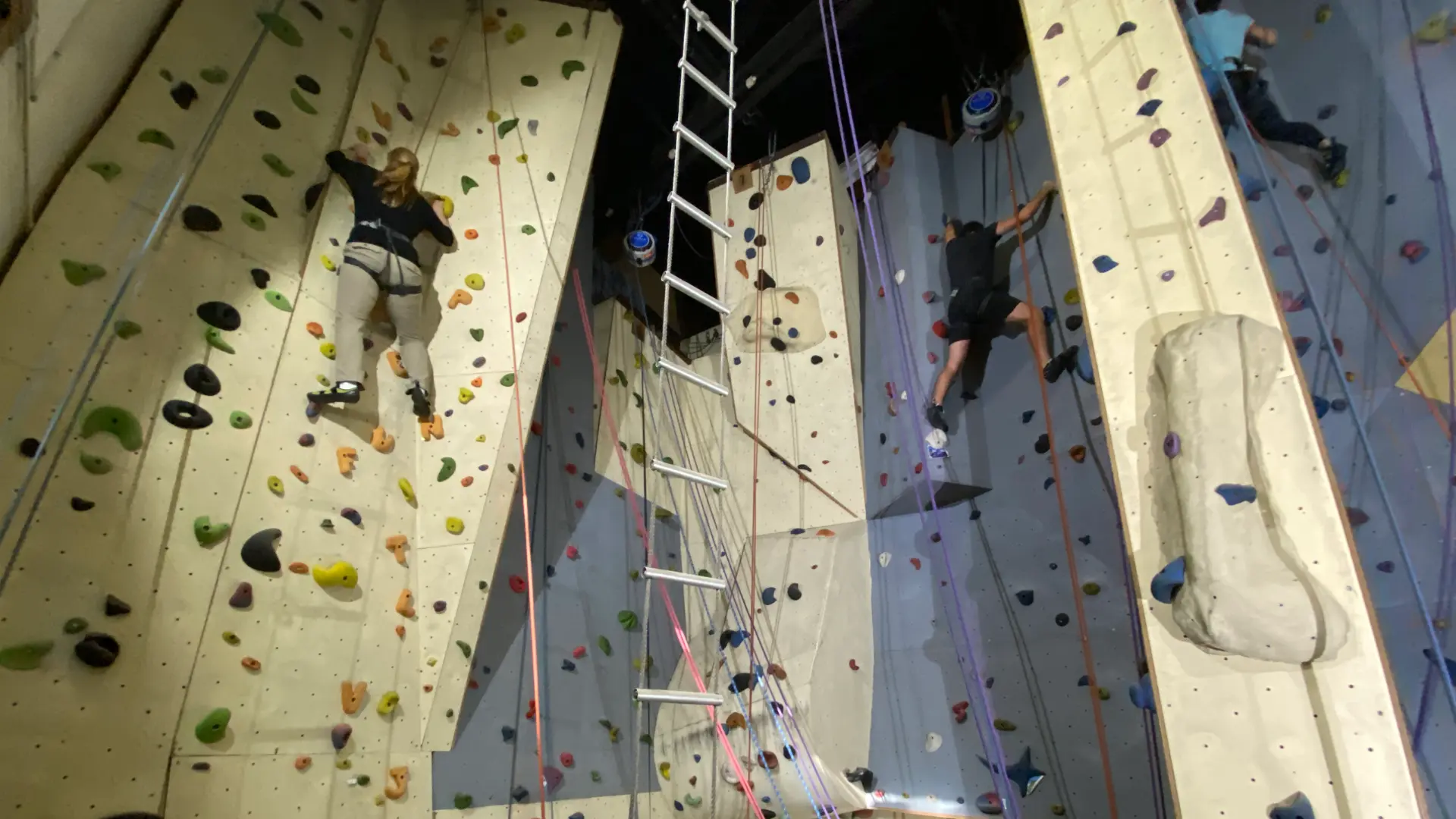 Climbing Centre at the International School of Brussels