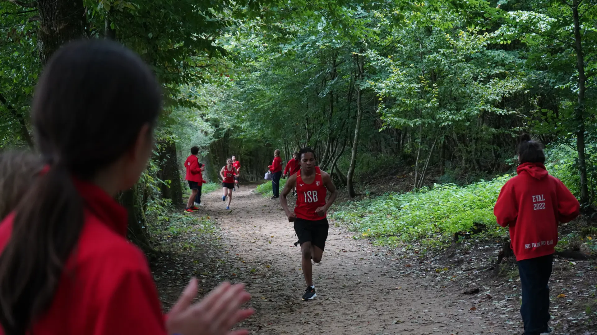 Foret de Soignes at the International School of Brussels