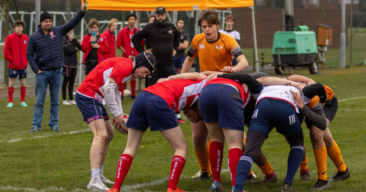 Scrum feed